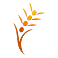logo-video